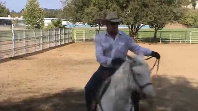 Western Dressage Finish work Koscki Riding Academy смотреть онлайн