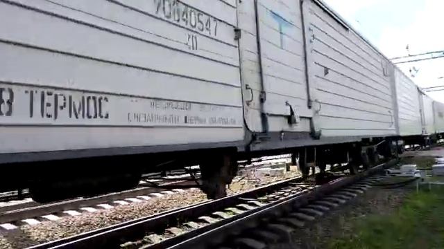 "из леса" 2м62-1055 Калуга-1 - Тихонова пустынь на ст. Тихонова пустынь смотреть онлайн