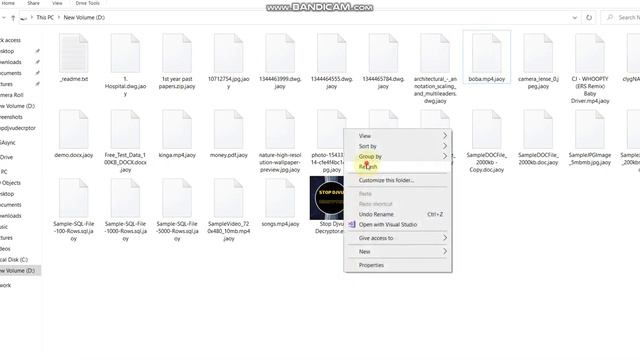 How to Decrypt JAOY Virus Files (Ransomware) | JAOY Ransomware Decryption Tool | STOP DJVU Decrypto смотреть онлайн