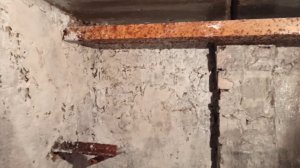 Обрабатываю погреб известкой // Бой слизнякам!!!