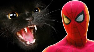 #12 Паук vs ЧЕРНАЯ КОШКА! Человек паук ps4 Прохождения игры Marvel's Spider Man