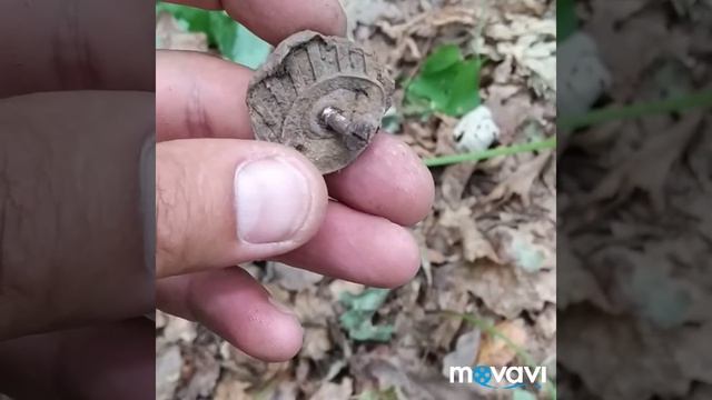 Лес коп с X-Terra 705