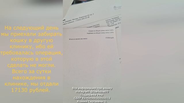 Спасение кошки Умы - Выпала из окна и сломала позвоночник: Краткая история лечения смотреть онлайн