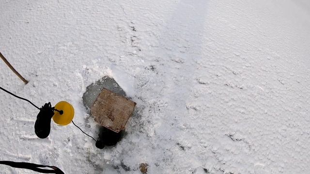 Зимняя рыбалка на сурском водохранилище.Закрытие зимнего сезона 2020.Эхолот видит лещей,много лещей смотреть онлайн
