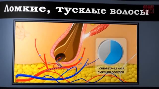 Секреты манипуляции Табак Курение Проект Общее Дело смотреть онлайн