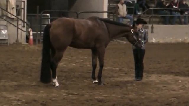 DeeAnn Whitehead and EBG Groovy Affair: 2010 QUARTER HORSE CONGRESS 2 of 3 смотреть онлайн