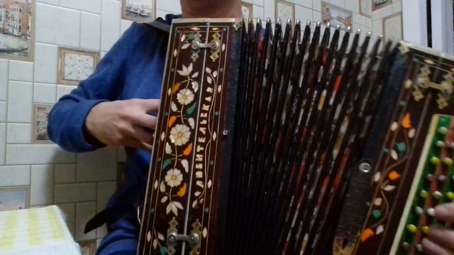 гармонь любительская си мажор