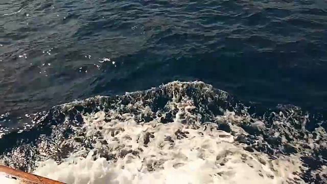 Первый раз с Василисой на море смотреть онлайн