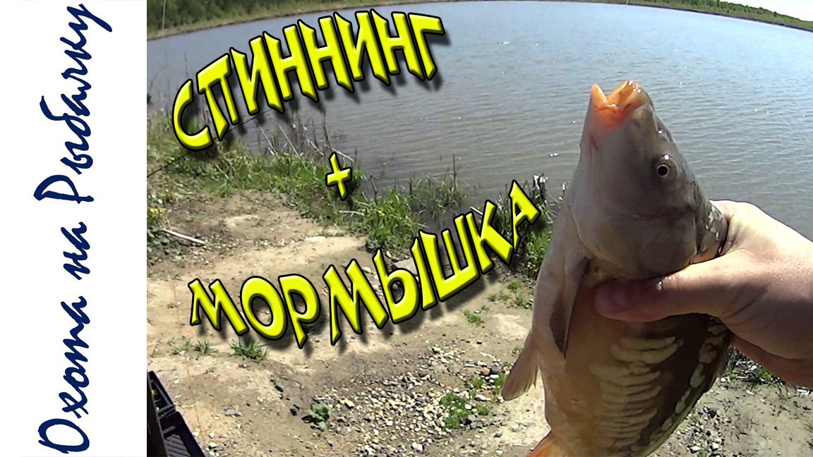 Ловля карпа и карася спиннингом на мормышку первые шаги (мормышинг) смотреть онлайн