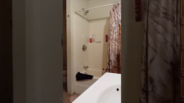 Bahahahahaah смотреть онлайн