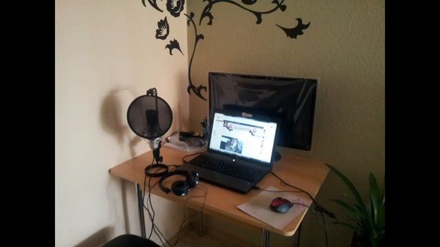 Butzi Testet [Deutsch,HD] - the t.bone SC 440 USB Mikrofon смотреть онлайн