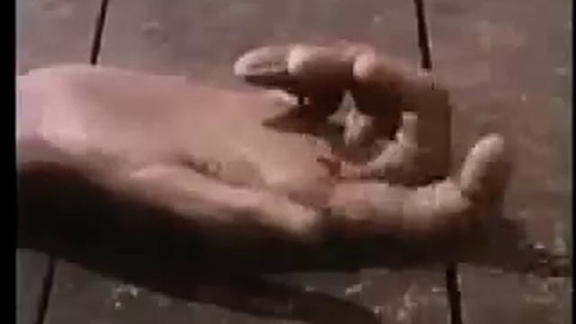 Švankmajer + Ustvolskaya смотреть онлайн