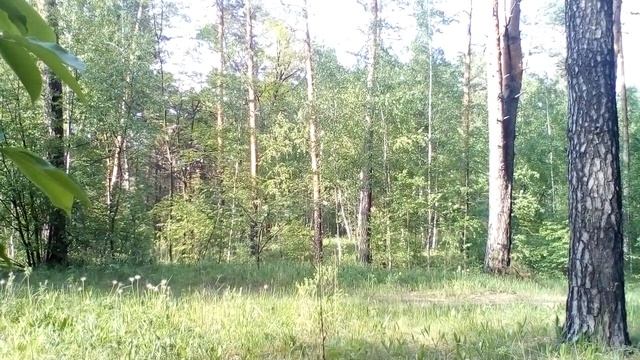 Христианские стихи с глубоким смыслом. смотреть онлайн