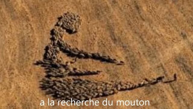 la terre vue du ciel смотреть онлайн