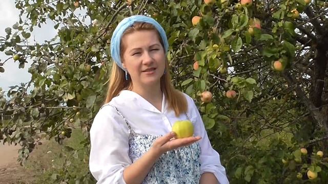 Силы природы. Яблоня плодоносящая - дарующая женщине силу и уверенность в себе. смотреть онлайн