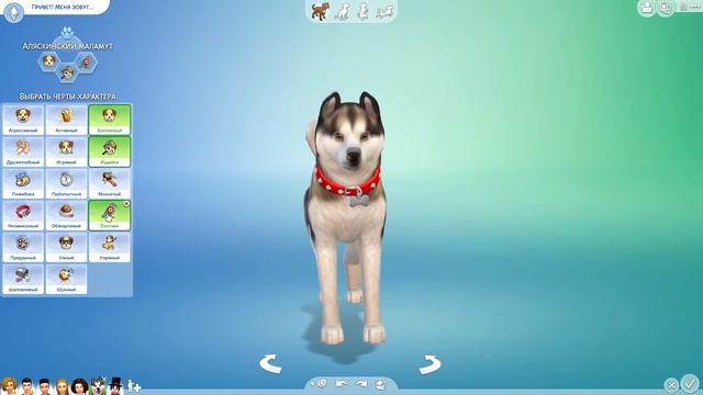 THE SIMS 4 КОШКИ И СОБАКИ | РЕЖИМ СОЗДАНИЯ ПИТОМЦА + CAS смотреть онлайн