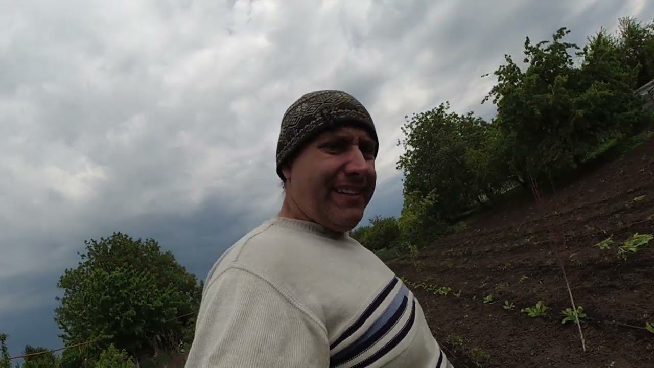 КАК ИЗБАВИТСЯ ОТ КОРОЕДА ЛЕГКО / НАВЕЛИ ЧИСТОТУ НА ОГОРОДЕ смотреть онлайн