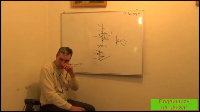 Пасынкование. Как правильно, когда и зачем? смотреть онлайн