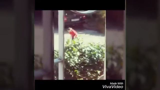 Слежка из окна смотреть онлайн