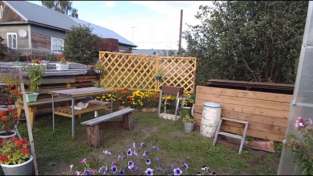 Жизнь в деревне. Древний город и окрестности. Кормим лошадь. смотреть онлайн