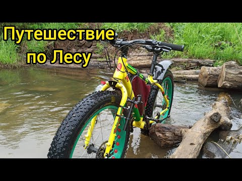 Путешествие по Лесу на Фэтбайке. По уши в грязи.