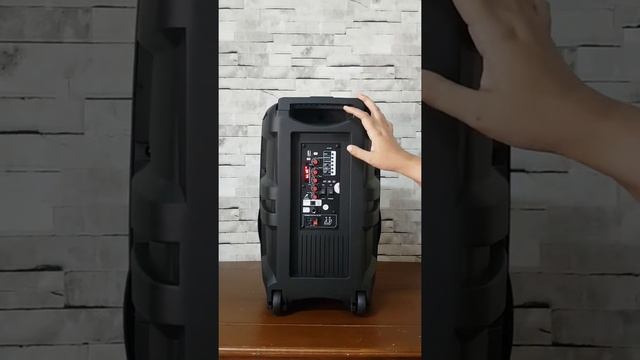 SPEAKER BATTERY FIRSTCLASS AUDIO MX-11PRO tipe JP-12PA смотреть онлайн