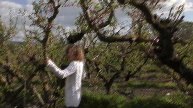 TimoTi Sannikov | С добрым утром любимая| Олег Митяев | cover | 2019 смотреть онлайн