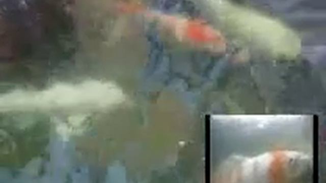 FK-535 FK-595 Waterproof Quality смотреть онлайн