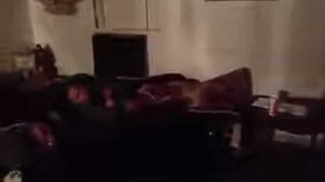 harlem shake gangbang aka harlem gangbang смотреть онлайн