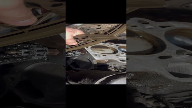 BMW X5e53 Натяжитель цепи ГРМ M54b30