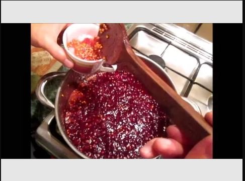 лимонник китайский рецепты, как сушить ягоды, варенье, настойка, энергетик (2016 год) смотреть онлайн