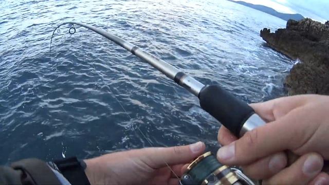 Barracuda (Sphyraena viridensis). DUO Tide Minnow Slim 175. 12.04.2016. смотреть онлайн