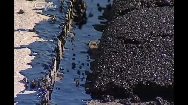 Заплатки на асфальте: смотреть онлайн