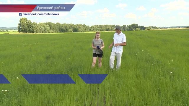 Первая в России льноводческая школа появится в Нижегородской области смотреть онлайн