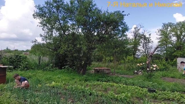 Прополка огорода/Каша пшенная/Жизнь в станице смотреть онлайн