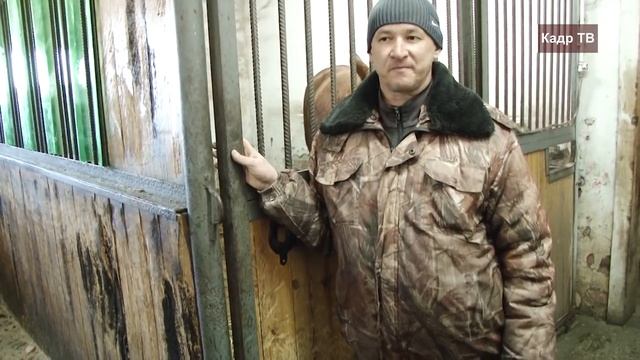 Долгожданное пополнения в Конноспортивной секции ДЮСШ "Малахит" города Асбест. смотреть онлайн