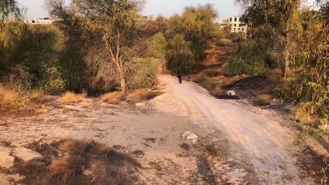 Short and Quick Sunday Ride In Mushrif Park MTB Trail with @aero75dxb смотреть онлайн