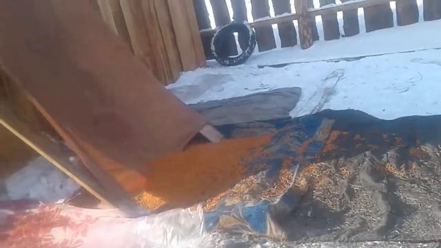 Чистка облепихи без труда смотреть онлайн