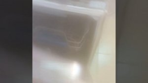 ✅ Bosch - посудомоечная машина✅Замена ремкомплекта