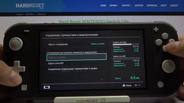 Как поменять папку на Nintendo Switch Lite для сохранения снимков экрана? смотреть онлайн
