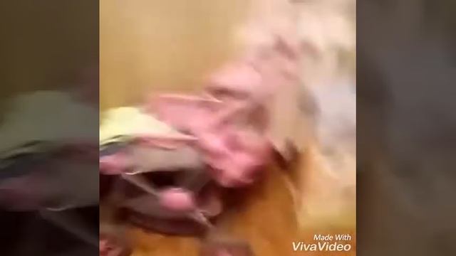 Мои усики и обновки!!! смотреть онлайн