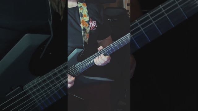 Goober plays wrong genre on his Iron Label Ibanez #guitar #guitarsolo #ibanez #rock #oopsie смотреть онлайн