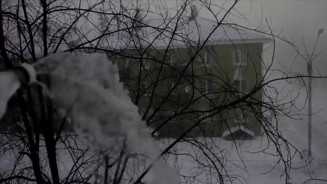 В Казахстане минус 50 замёрзли животные на ходу! Не для слабонерных! смотреть онлайн