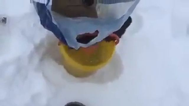 дикий зверь требуют дань у рыбака. хорек и рыба смотреть онлайн