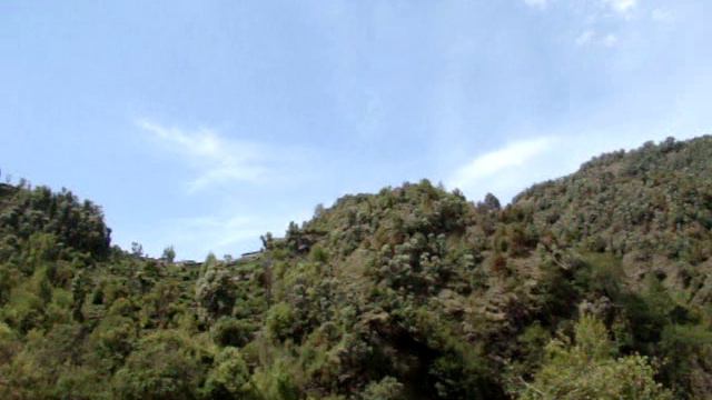 Водопад , Дарамсала, Гималаи, Индия.