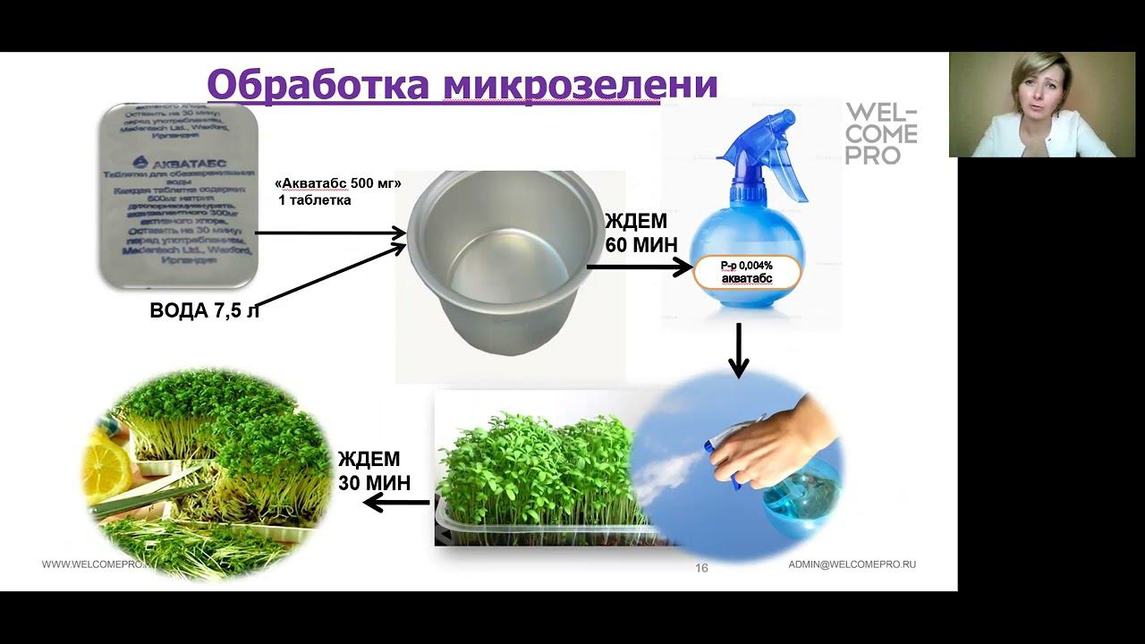 Занятие 1  Санитария  Часть 2  Правила в санитарии и зоны их применения