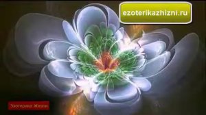 ДУЙКО© Не пускайте танцевать человека , поможет вылечить сердце , 72 Дуйко герца @Дуйко @DuikoAndri