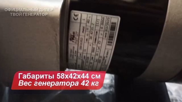 EUROPOWER EP 3300 ⚡ Электростанция 3 КВТ (экологически безопасный бензиновый генератор) смотреть онлайн