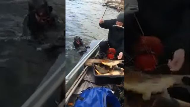 Улов. Подводная охота на сазана-3 - Рыболовная база отдыха "Усадьба РАССВЕТ" в Астраханской области смотреть онлайн