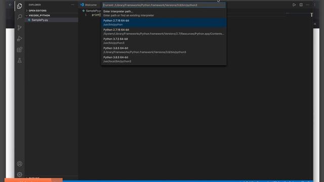 Configure python in VSCode & run selenium test смотреть онлайн